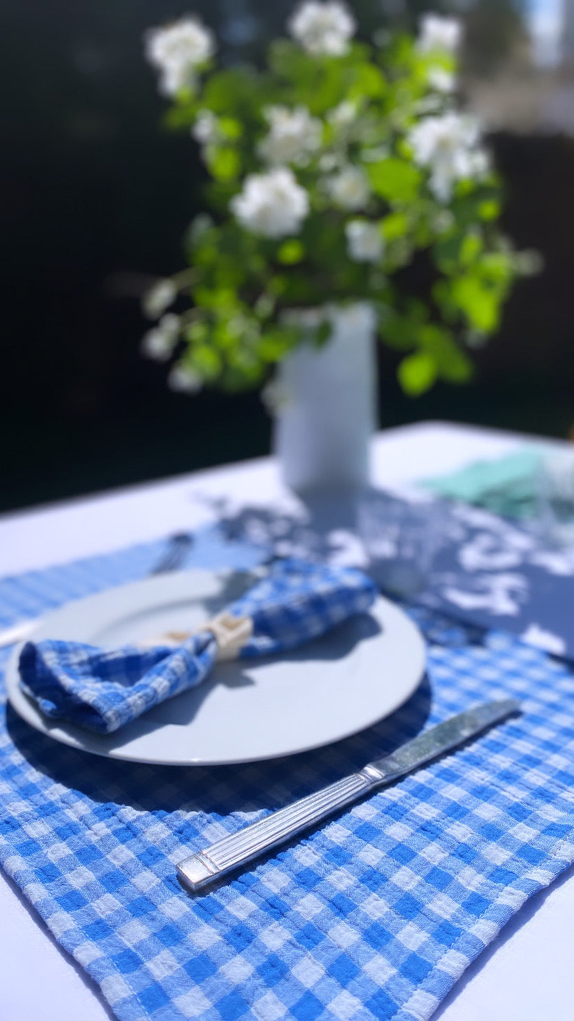 Blue Azure Gingham Placemat X2