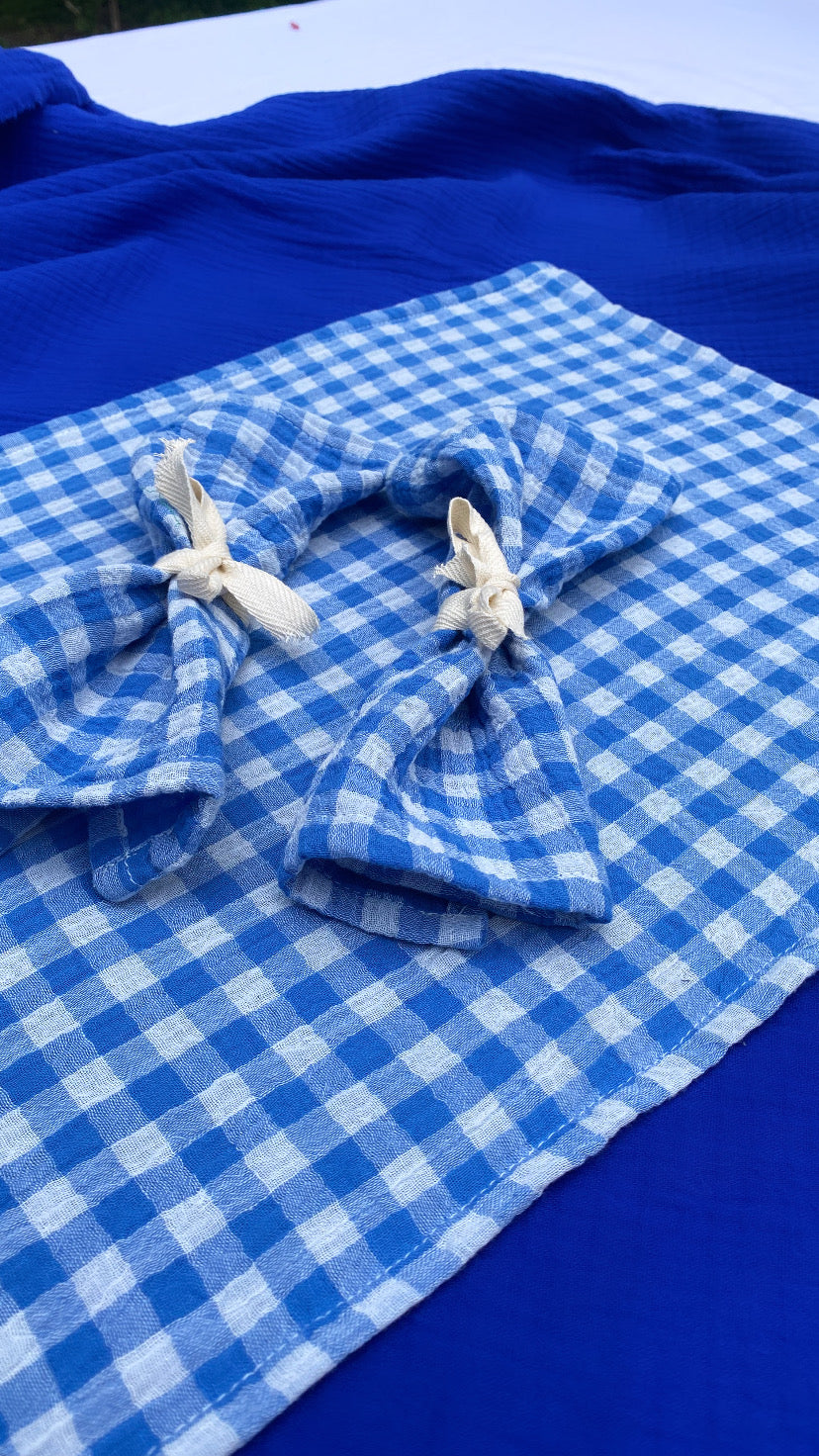 Blue Azure Gingham Placemat X2